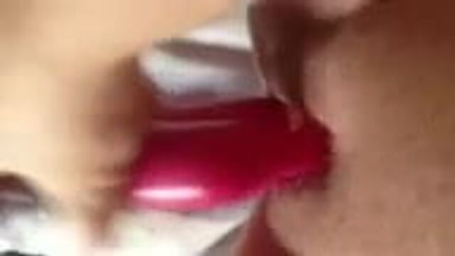 Red Rabbit