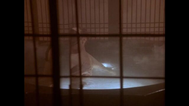 Charlotte Lewis Nude - Storyville (1992)
