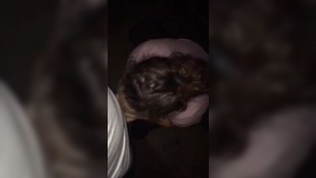 Dirtygirl614 sucks cock and take a stranger bareback