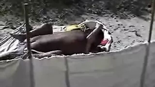 vacation couple (cuckold)