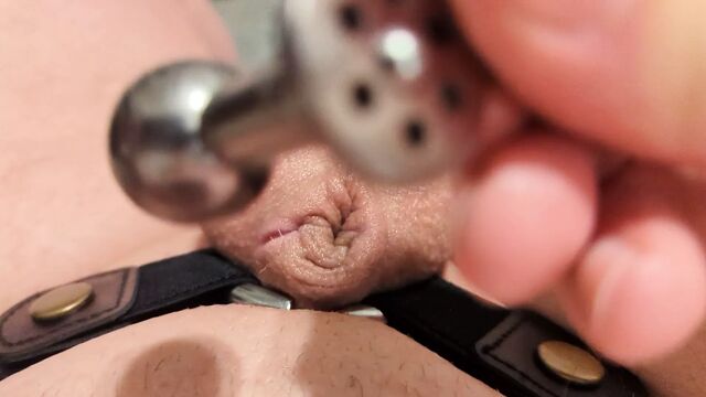 Putting on my new Ball inverted chastity cage