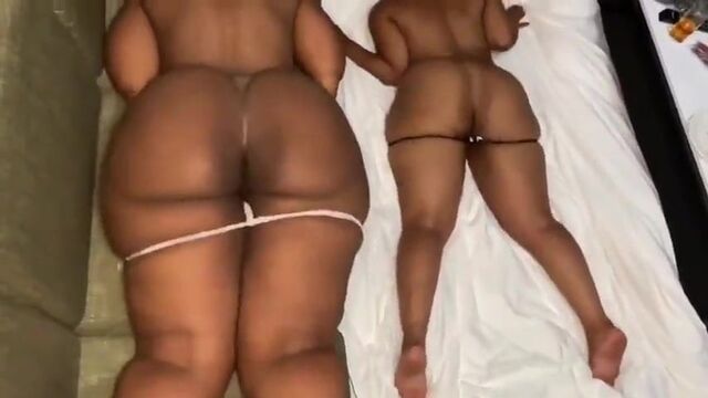 Big booty bitches