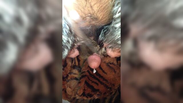 cum on fur