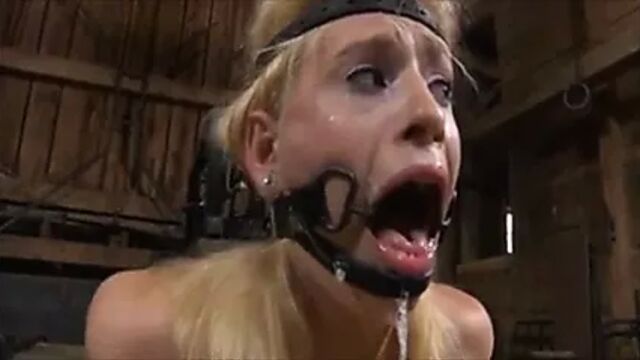 BlowJob Machine