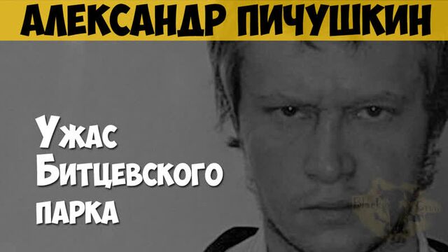 Александр Пичушкин. Серийный убийца, маньяк. Ужас Битцевского парка