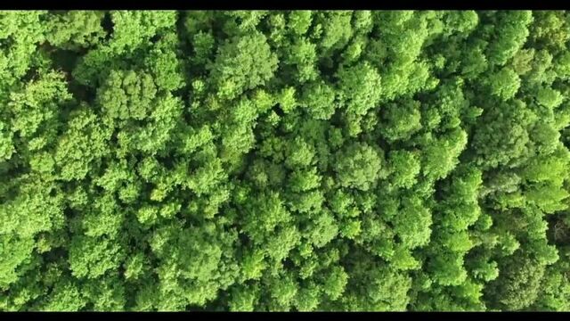 Video by Аудио Рассказы. Истории измен. Истории из жизни
