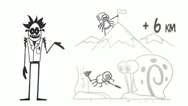 [Доктор Гнус] Доктор Гнус : Осторожно! Злая собаходка. ( Анимация )