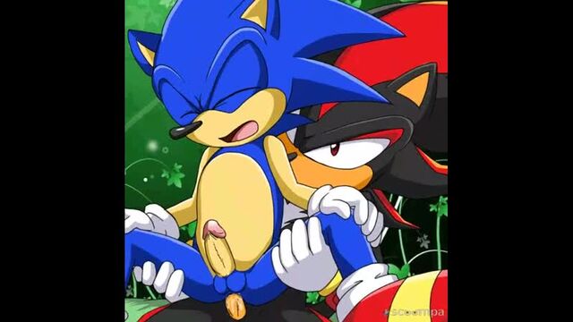 Gay Sonic Sideshow YAOY