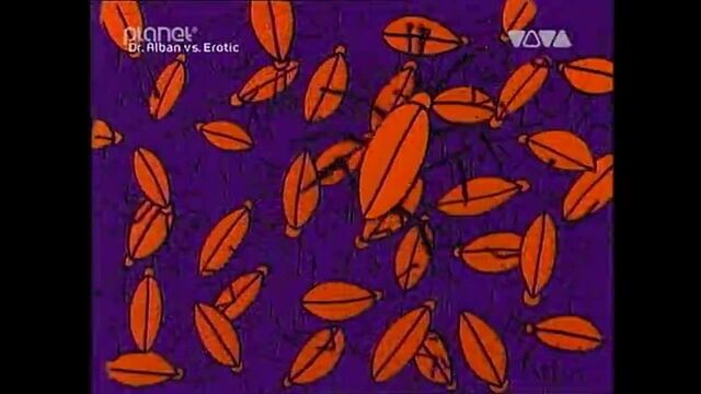 E-Rotic - Max Don't Have Sex (With Your Ex)