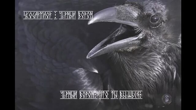 Skogarmaor - Black Raven (lyric video)