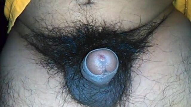 SMALL UNCUT DARK AND VERY HAIRY PENIS